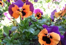 10-milyon-dolarlik-egitim-509