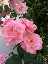 ask-sen-nelere-kadirsin-790