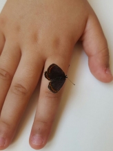 Başka hayatlara dokunmak / kelebek etkisi