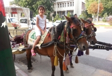 cocuklar-ve-anilari-363