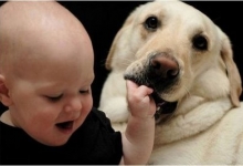 cocuklarda-hayvan-sevgisi-248