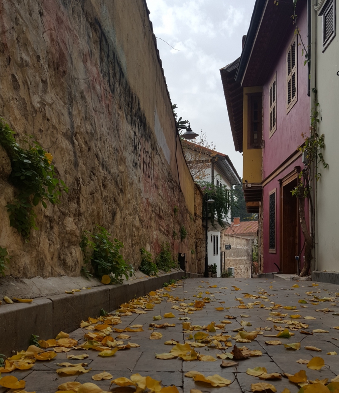Çocuğun çocuğa şiddeti