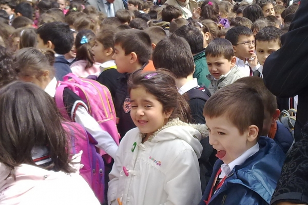 Okul Seçimi